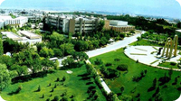 sacekim